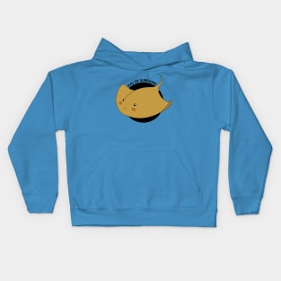 Ray of Sunshine Kids Hoodie